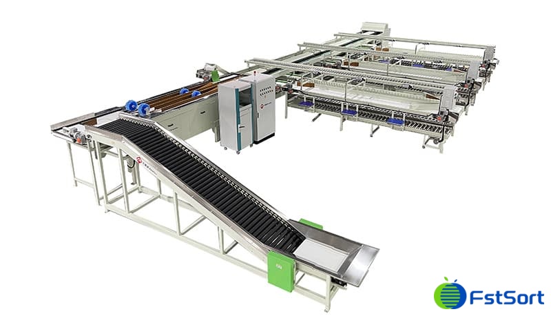 images/1660029187737clasificadora y empacadora de frutas.jpg